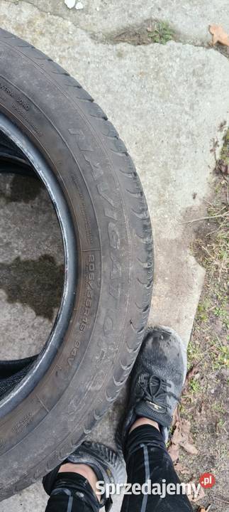 2x 2055516 opony całoroczne Dębica Nawigator 3 205 Pruszków