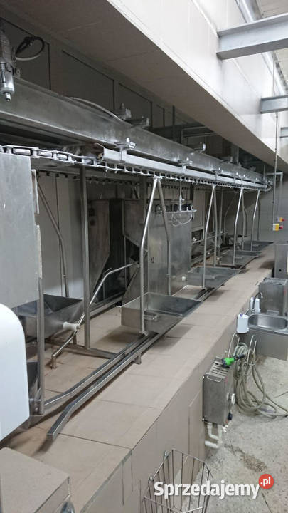 Linia do transportu jelit Raków