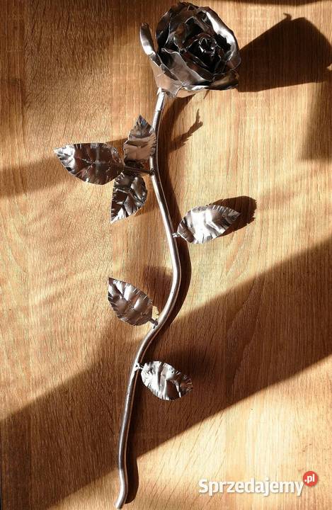 Stalowa róża wieczna róża Wrocław