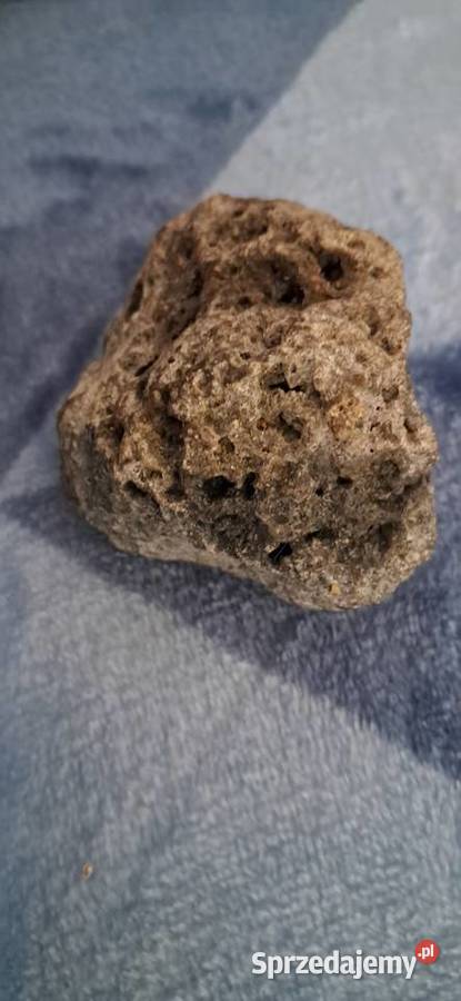 Meteoryt Niepoględzie sprzedam