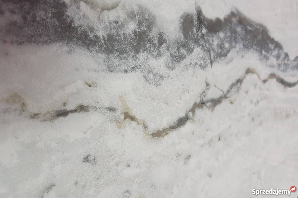 Gres Szkliwiony Onyx White 60 x 1195 x 1 Materiały budowlane Krzywda