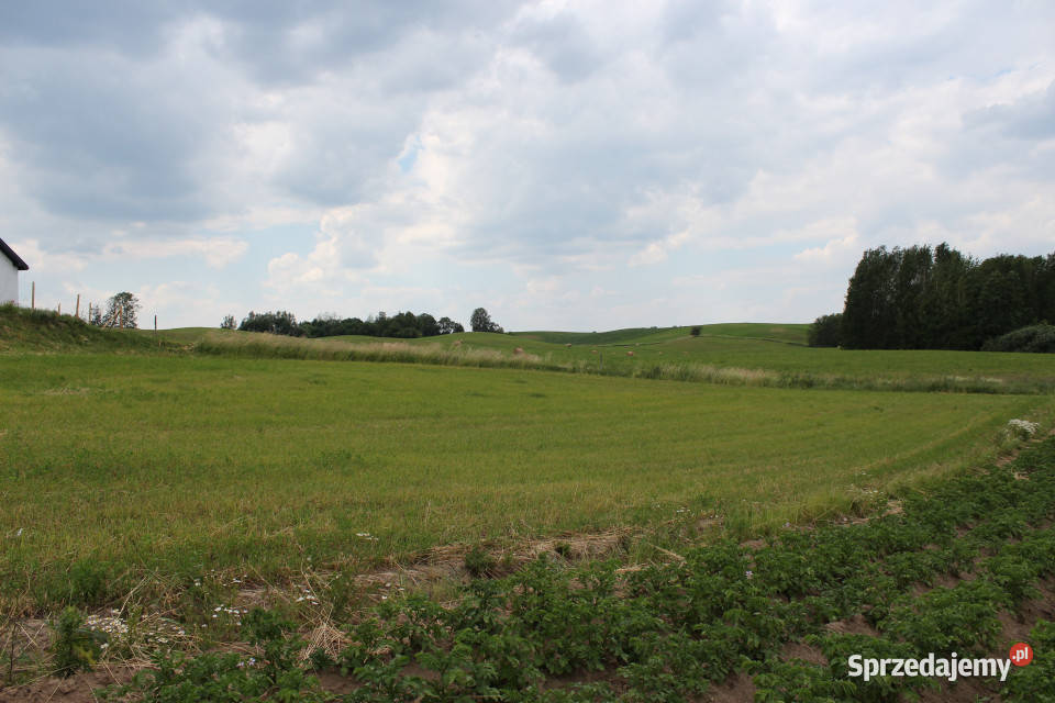 Mrągowo działka 1300m2 Probark warmińsko-mazurskie