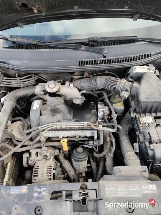 Seat Ibiza 14 TDI 70 5 drzwi Gryfów Śląski