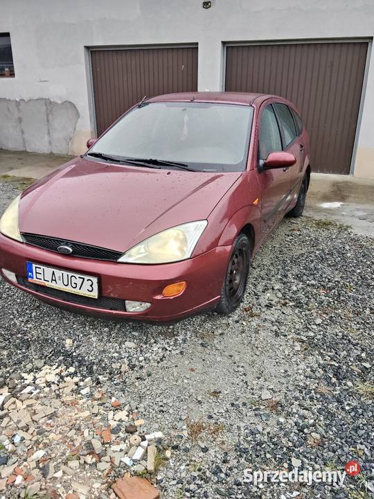 Sprawna Foczka małe pieniążki 101KM