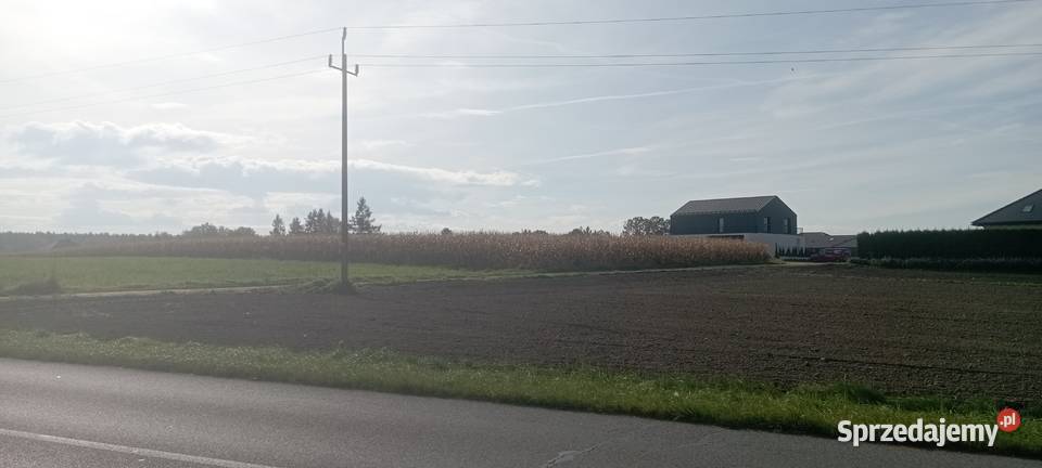 Działka budowlana 750 m Międzyrzecze Przeczna