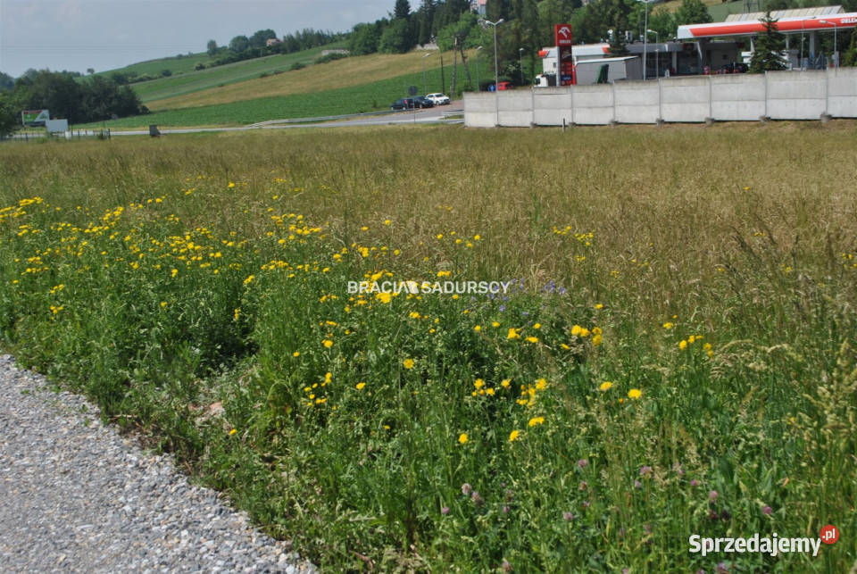 Działkę sprzedam 7970m2 Brzezie sprzedam