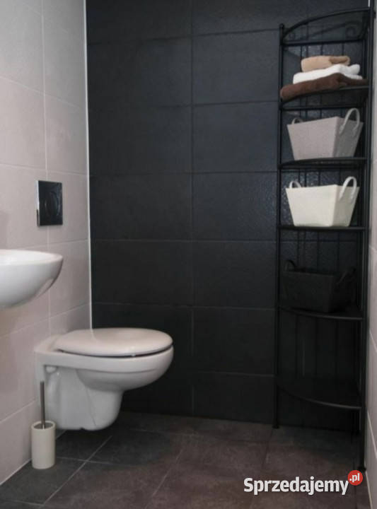 Wynajmę bezpośrednio właściciela Katowice