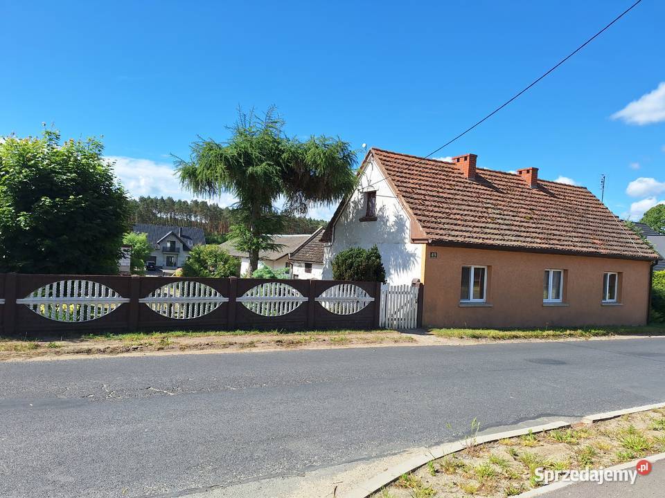 Dom z zabudową gospodarczą Zduny