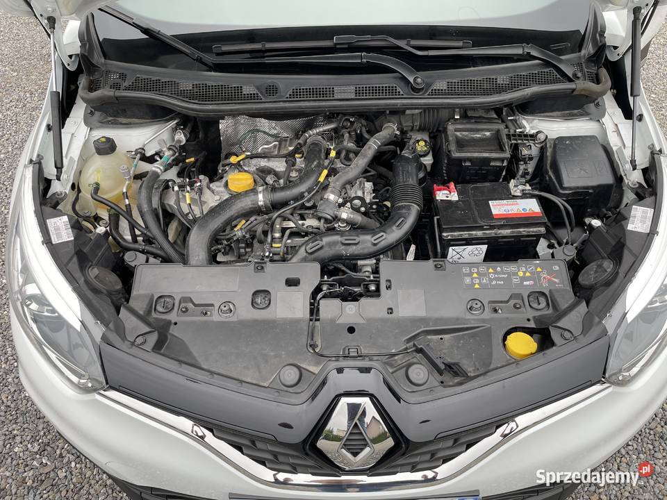 Captur benzyna 2019r pełna biała perła 21 świętokrzyskie Sandomierz