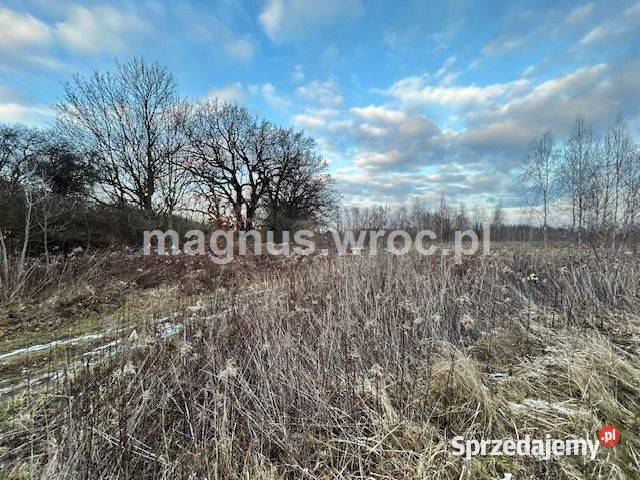 Oferuję działke inwestycyjną w Jerzmanowie Wrocław