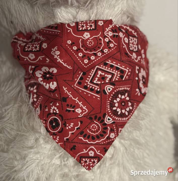 Czerwona bandamka psa z regulowanym zapięciem Pruszków