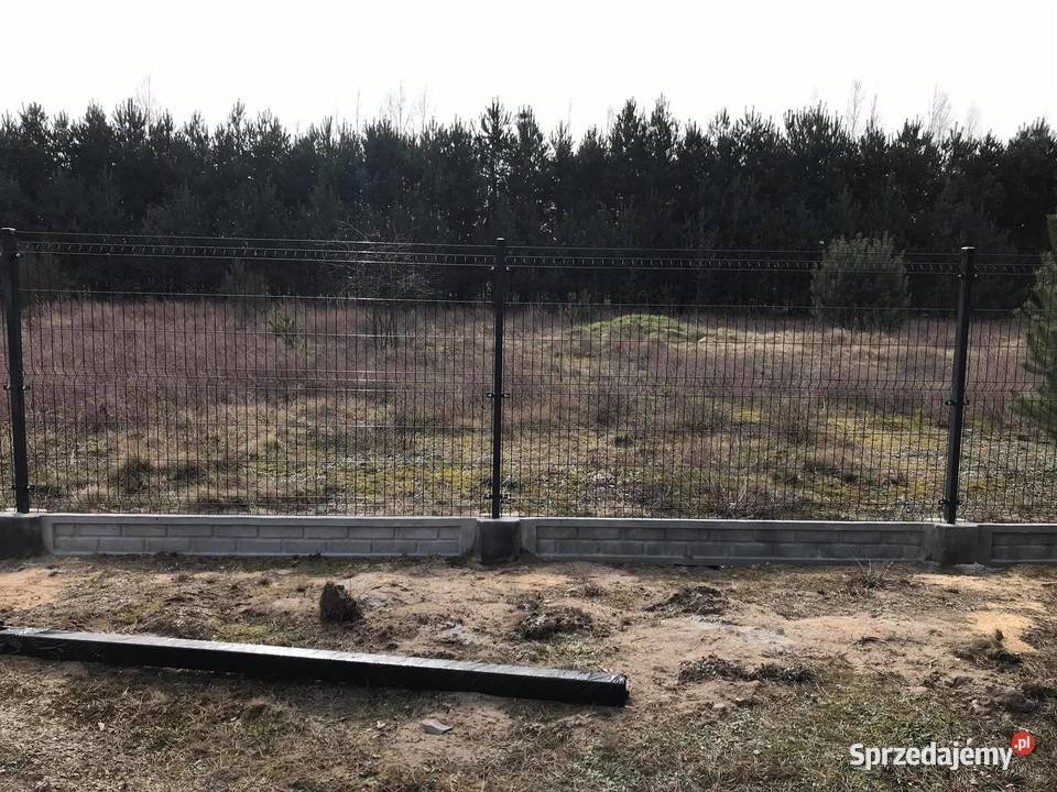 Ogrodzenie panelowe 123 BEZ podmurówki Olsztyn