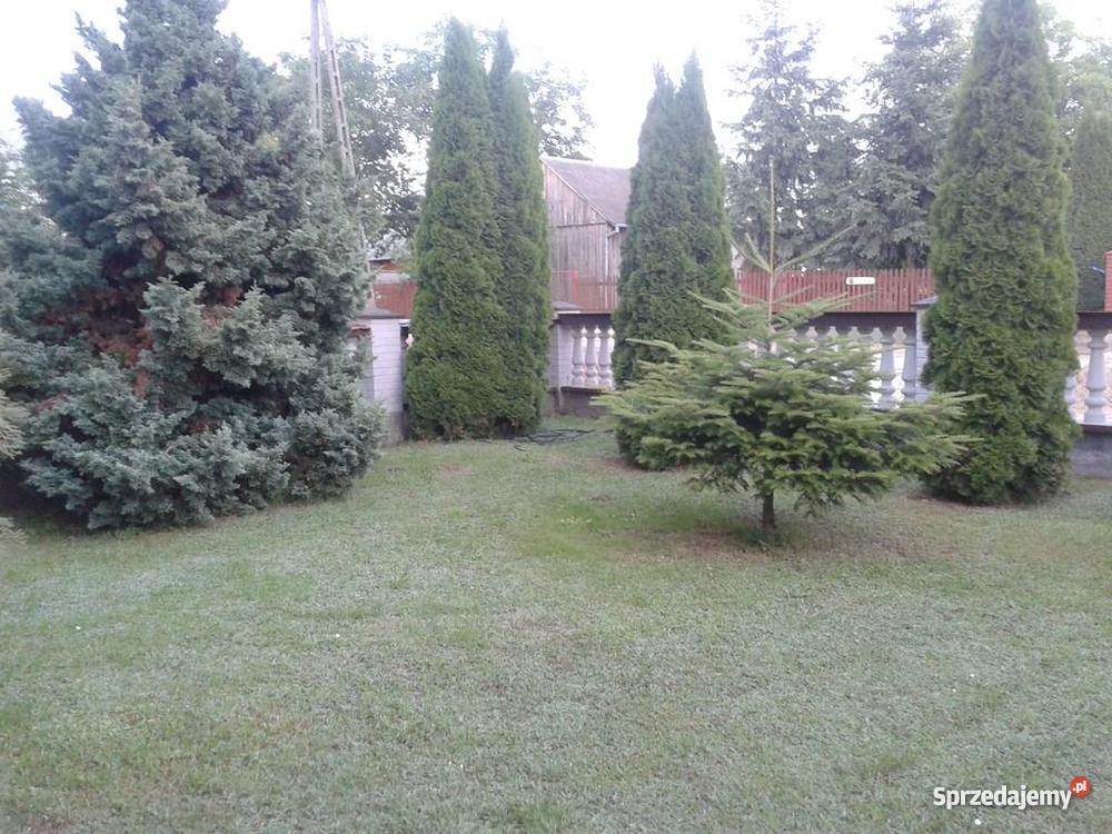 dom czesciowo wykonczony w ciechanowcu do wykończenia Ciechanowiec