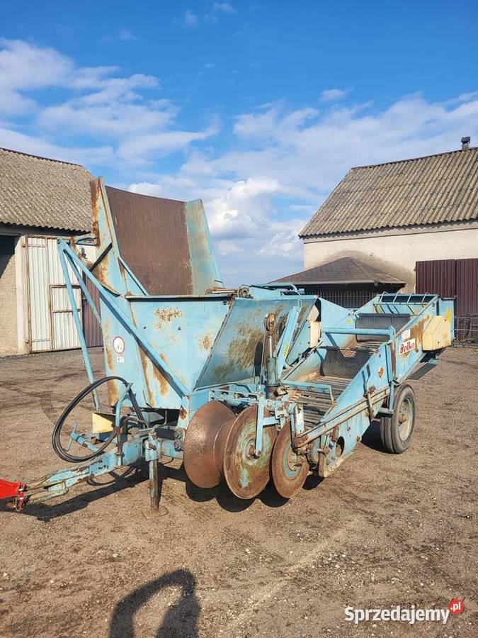 Kombajn ziemniaczany Bolko Z643 1991 zbieracz do nieuszkodzony Osięciny
