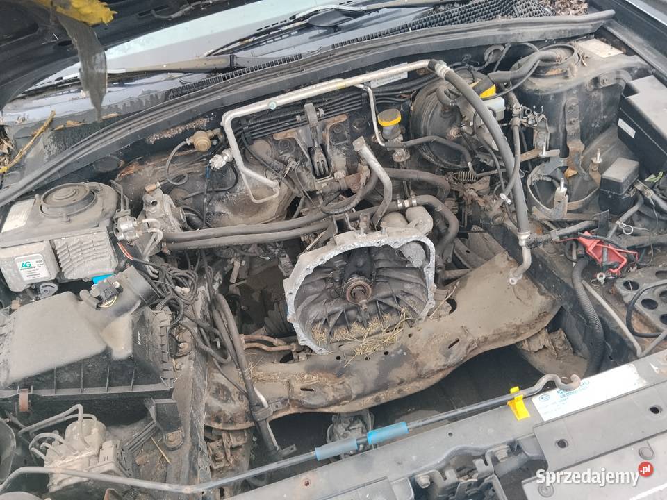 Subaru forester Chojna