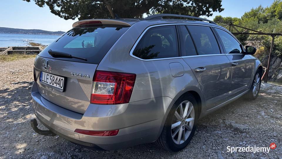 Octavia 20 TDI Bixenon Canton pół skóra duża lubelskie Milejów-Osada