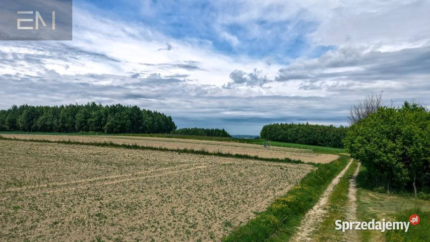 Działka Szufnarowa 1900m2 Sprzedaż