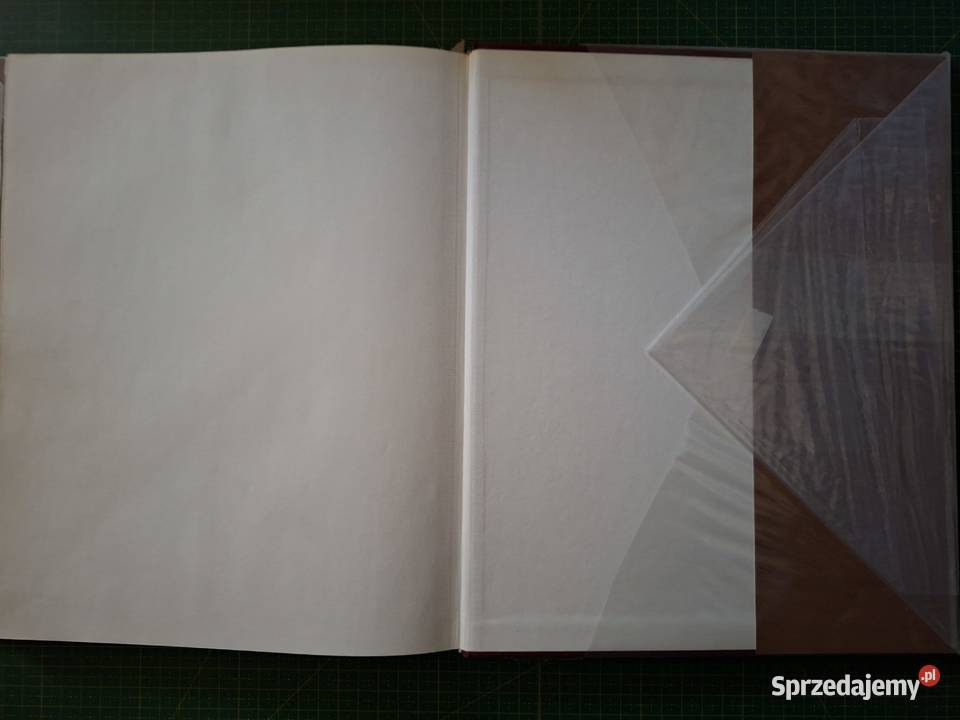 Zamki i zamczyska Adam Bujak przewodnik