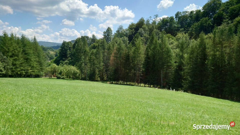 Działka BUDOWLANA 30 ary Bieszczady Bóbrka k Sprzedaż