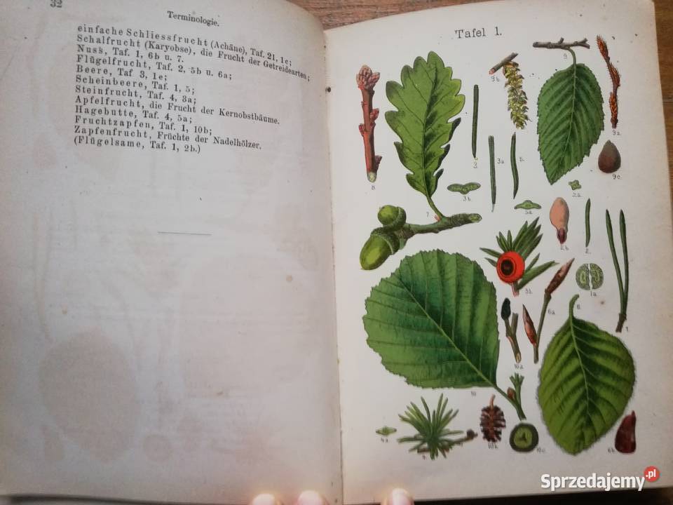 Der Pflanzenfreund sprzedam