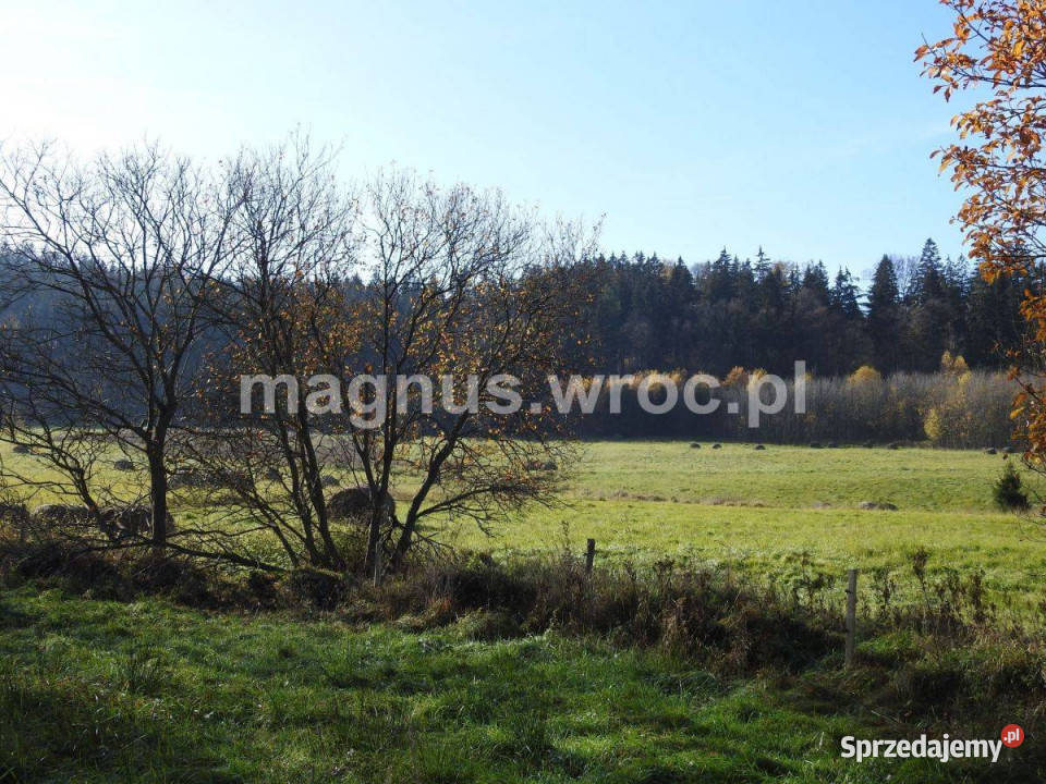 Działka budowlana z widokiem na góry w polna Boguszów-Gorce