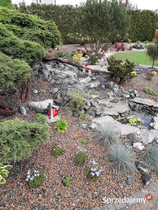 Grys porfirowy 816mm czerwony brązowy Kraków