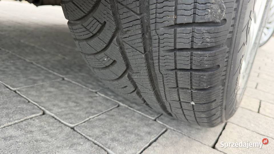 BMW Seria 7 30d 245 2009 Zarejestrowana CD Seria 7 wielkopolskie