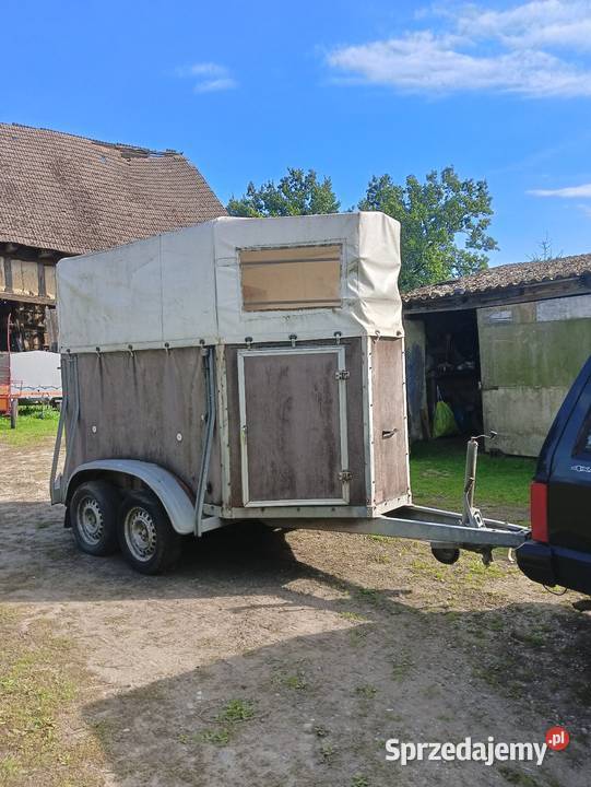 Przyczepa 2konna zachodniopomorskie