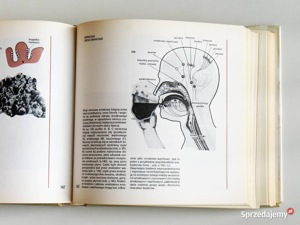 Atlas psychologiczny Włodzimierz Szewczuk psychologia, socjologia małopolskie Kraków