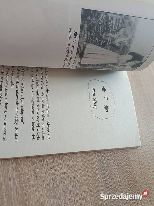 Księga Dżungli Kwidzyn sprzedam