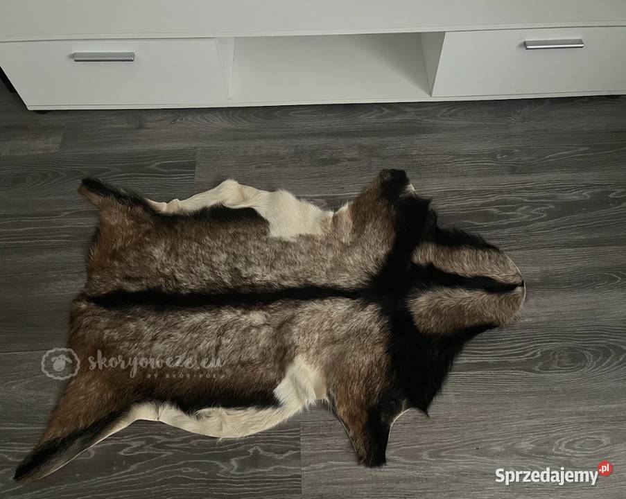 Unikatowa naturalna skóra kozia multicolor Szaflary sprzedam