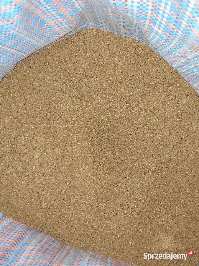 Facelia miododajne pszczoly Częstochowa