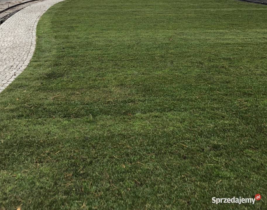 Ziemia ogrodnicza Włocławek