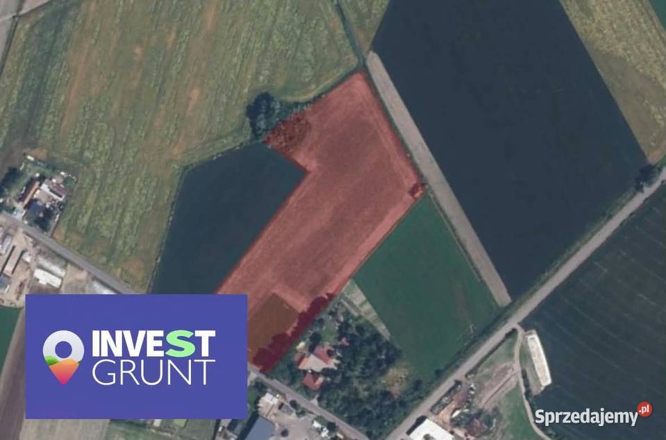 Dzierżawa gruntu rolnego 1106 ha Gostyń