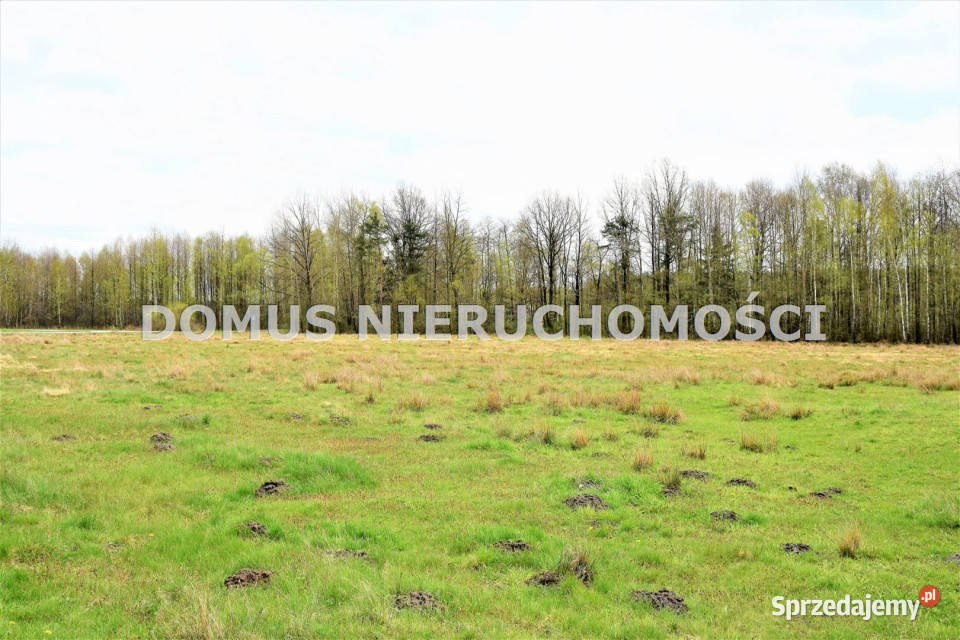 Działka Olszowiec 2751m2