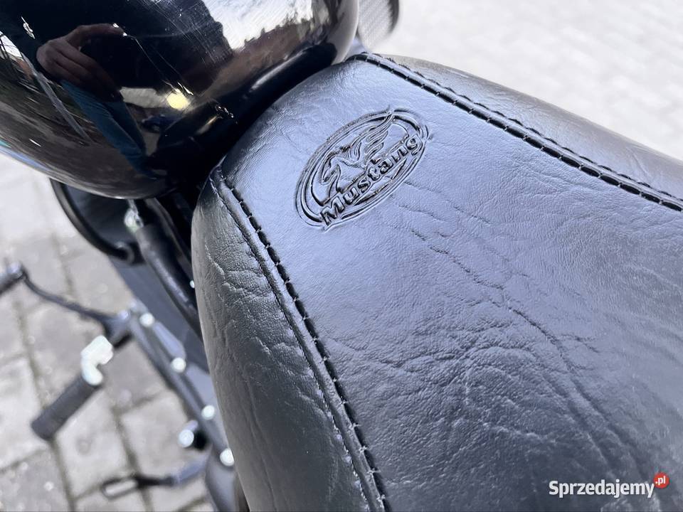 Harley Sportster Iron Black 1200 super stan Wejherowo