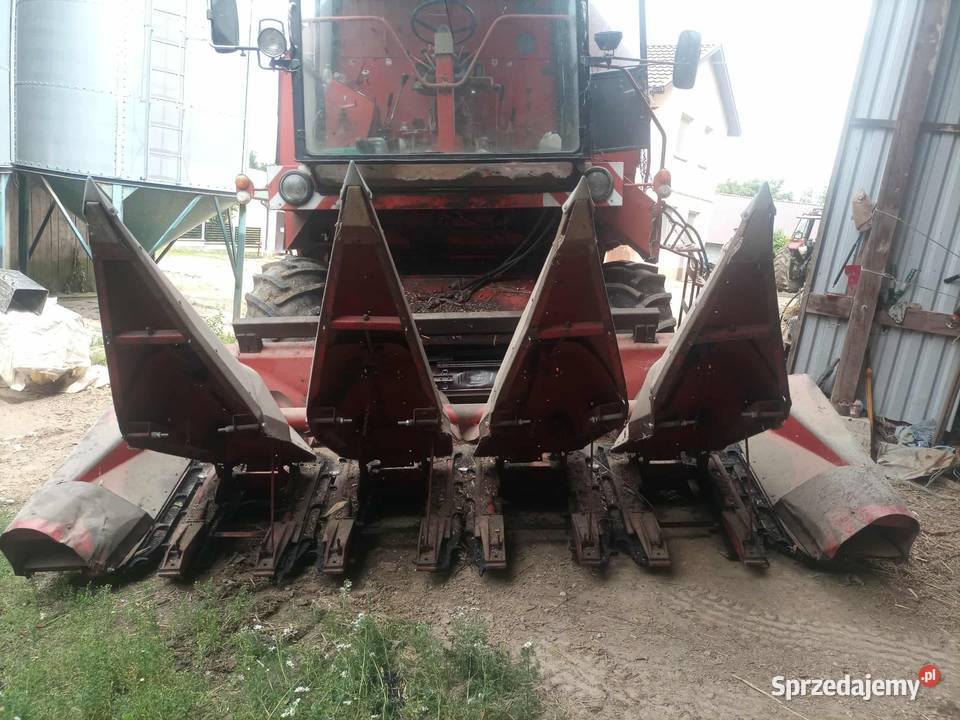 Przystawka do kukurydzy 5 rzędowa do Bizona Słaboszów