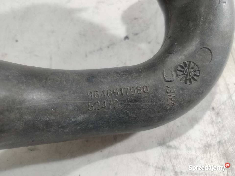 RURA DOLOT POWIETRZA PEUGEOT 207 16 HDI wielkopolskie