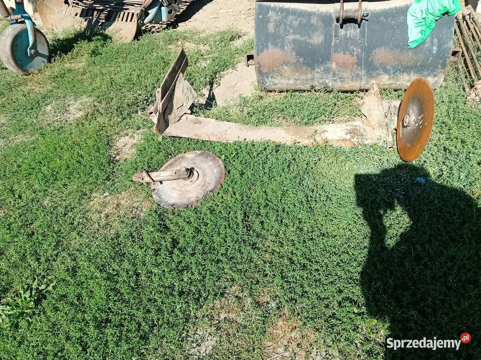 lemiesz do cebuli Mrożewice