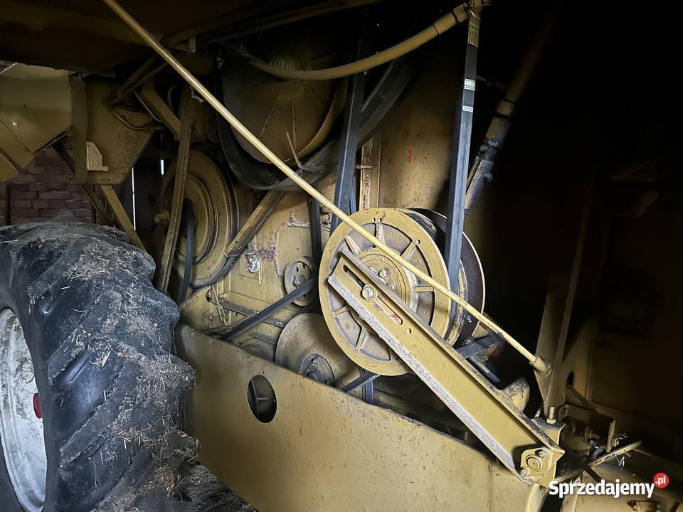 Ładny Bizon Z 40 dolnośląskie Szklarnia