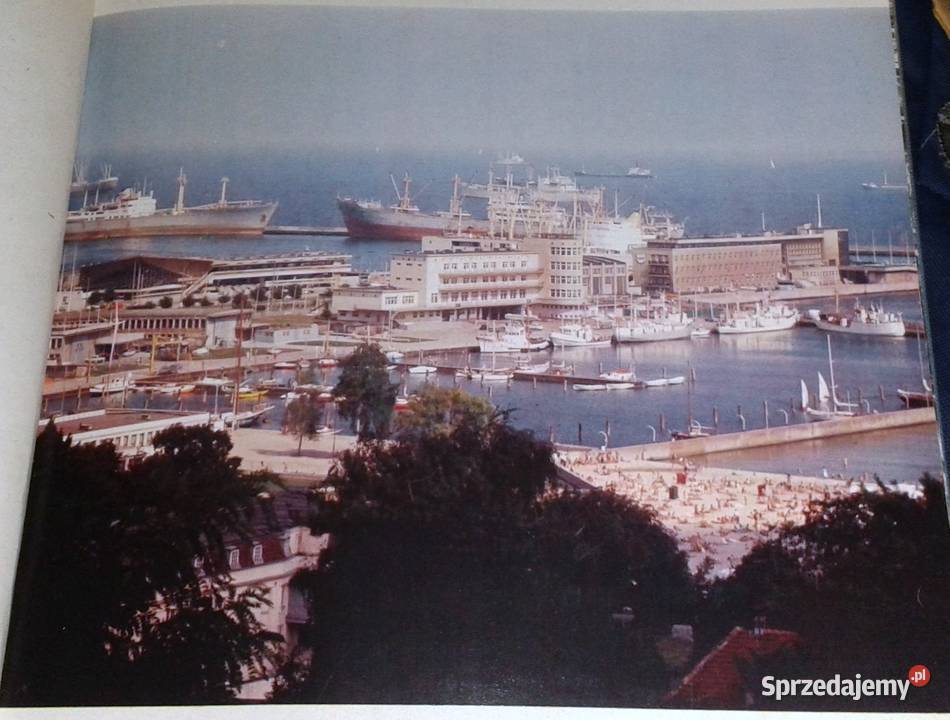 Gdynia Maria i Andrzej Szypowscy Chełm