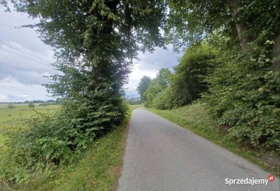Działka asfalcieMożliwość zabudowy 7500m2 Matule
