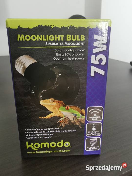 Kameleon jemeński z terrarium i wyposażeniem