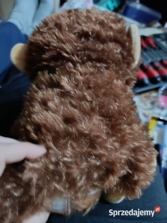 Tańcząca pluszowa małpka grawerowane serce Poznań sprzedam