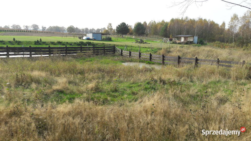 Działka Stare Gaje 3100m2 Olsztyn