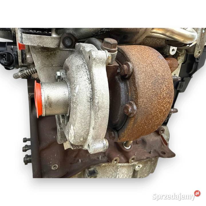 SILNIK K9K282 Nissan Qashqai J10 15 DCI 106 Chełm