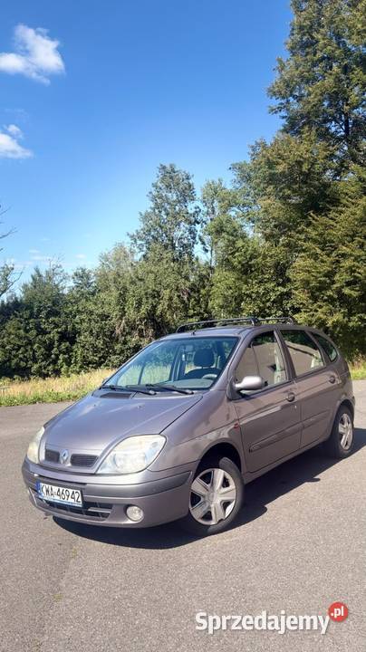 Renault Scenic 16 manualna Scenic Marcyporęba