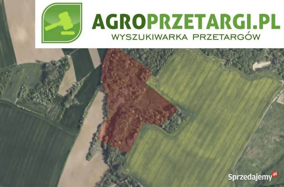 Dzierżawa 614 ha gruntu rolnego Ząbkowice Śląskie