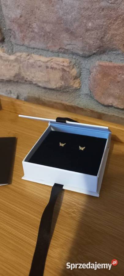 Kolczyki Motylki Małocice