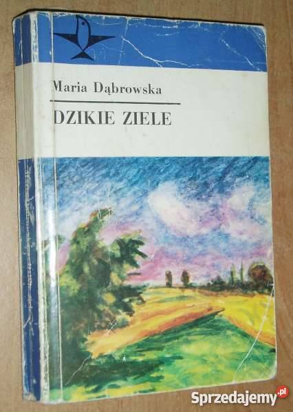 DZIKIE ZIELE MARIA DĄBROWSKA FA Goleniów